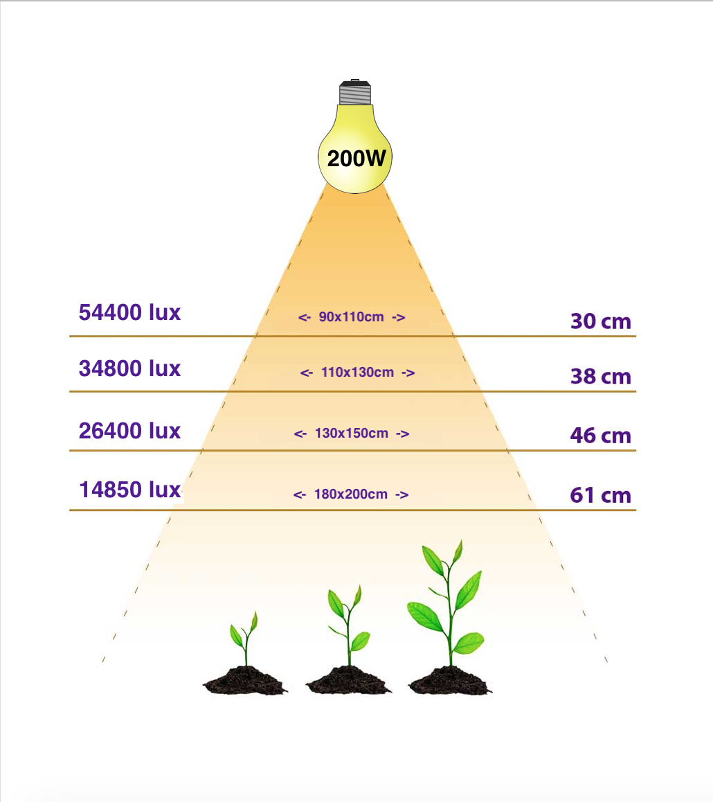 200W-lux-test.png